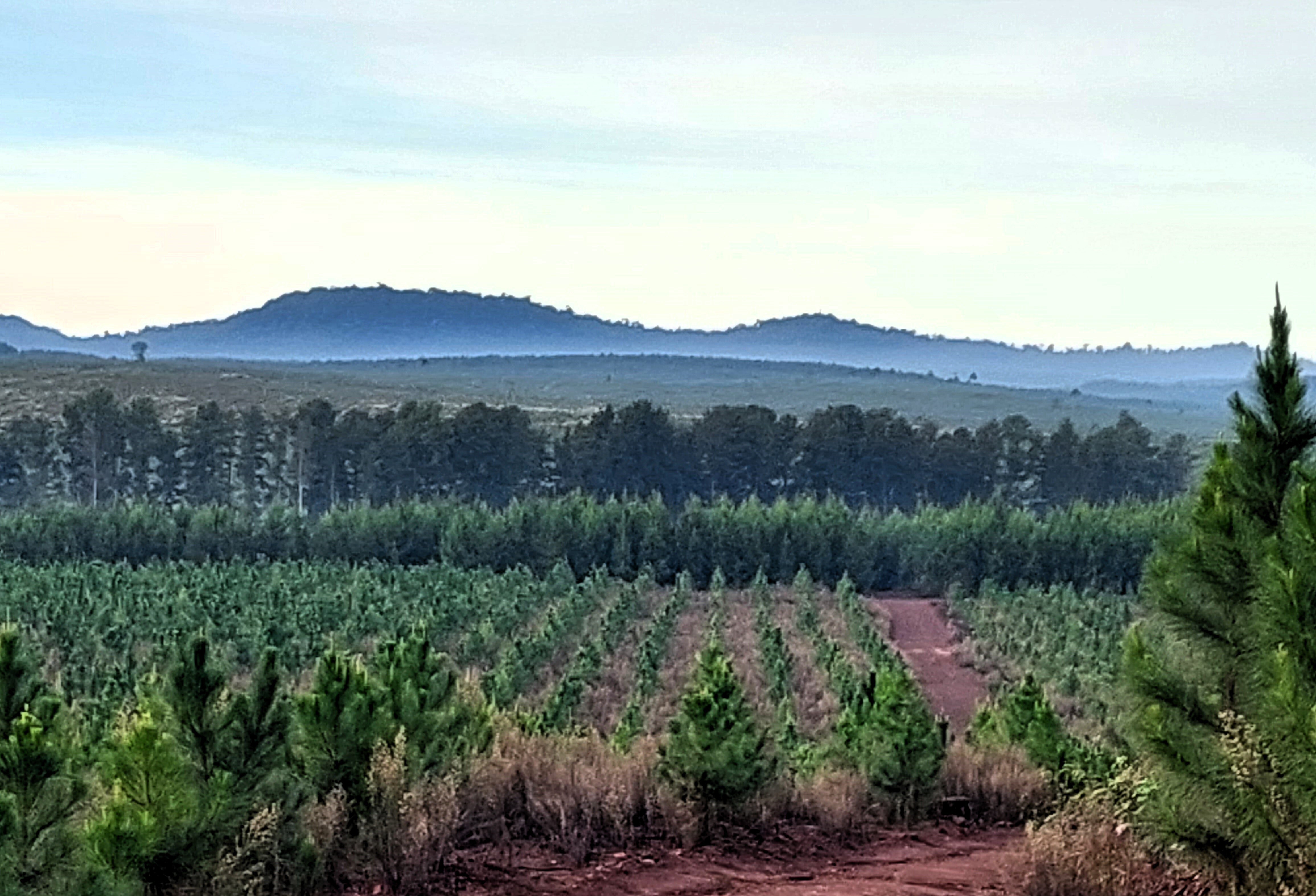 RENATRE Misiones alcanzó importantes avances en protección social y trabajo decente durante 2025