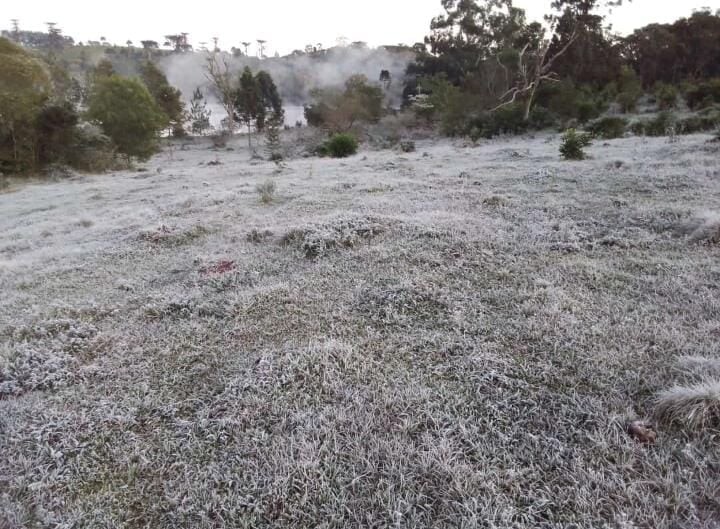 Tiempo: Bueno, frio por la mañana y templado por la tarde