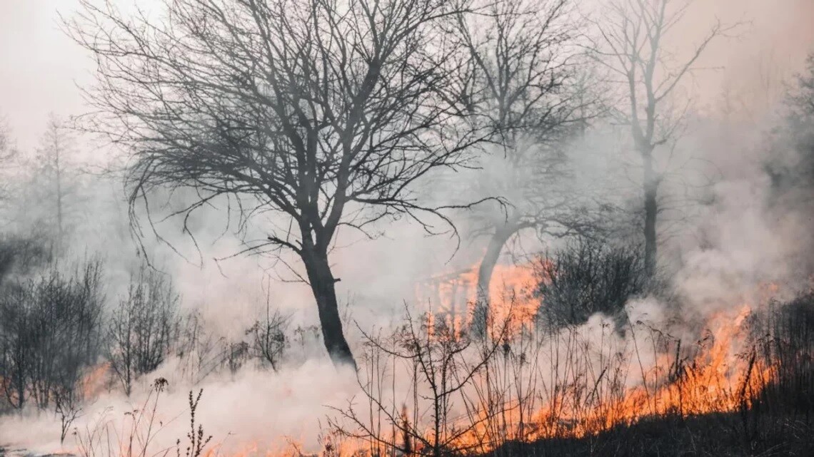 i.jpg Alerta por riesgo extremo de incendios forestales en gran parte del país