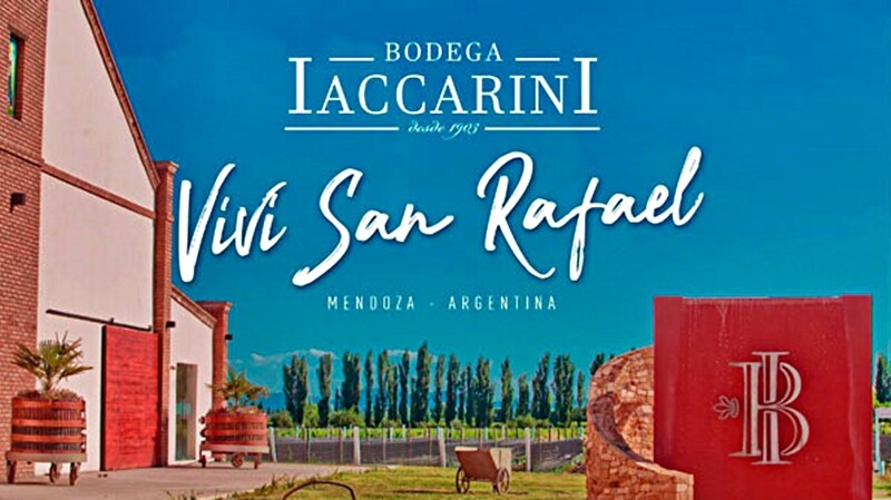 iacarini.jpg iacarini.jpg
