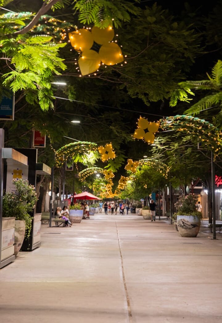 La municipalidad ilumina los hitos más emblemáticos de la Ciudad para compartir el espíritu navideño con todos los sanjuaninos.