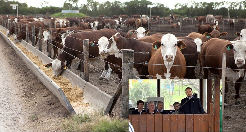 image - 2026-08-15T195417.408.png El gobernador anunció incentivos para fortalecer la producción ganadera destinada a feedlot