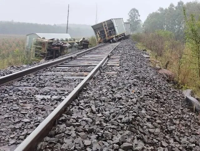 image-127.jpg Federación: descarriló un tren de la línea Urquiza