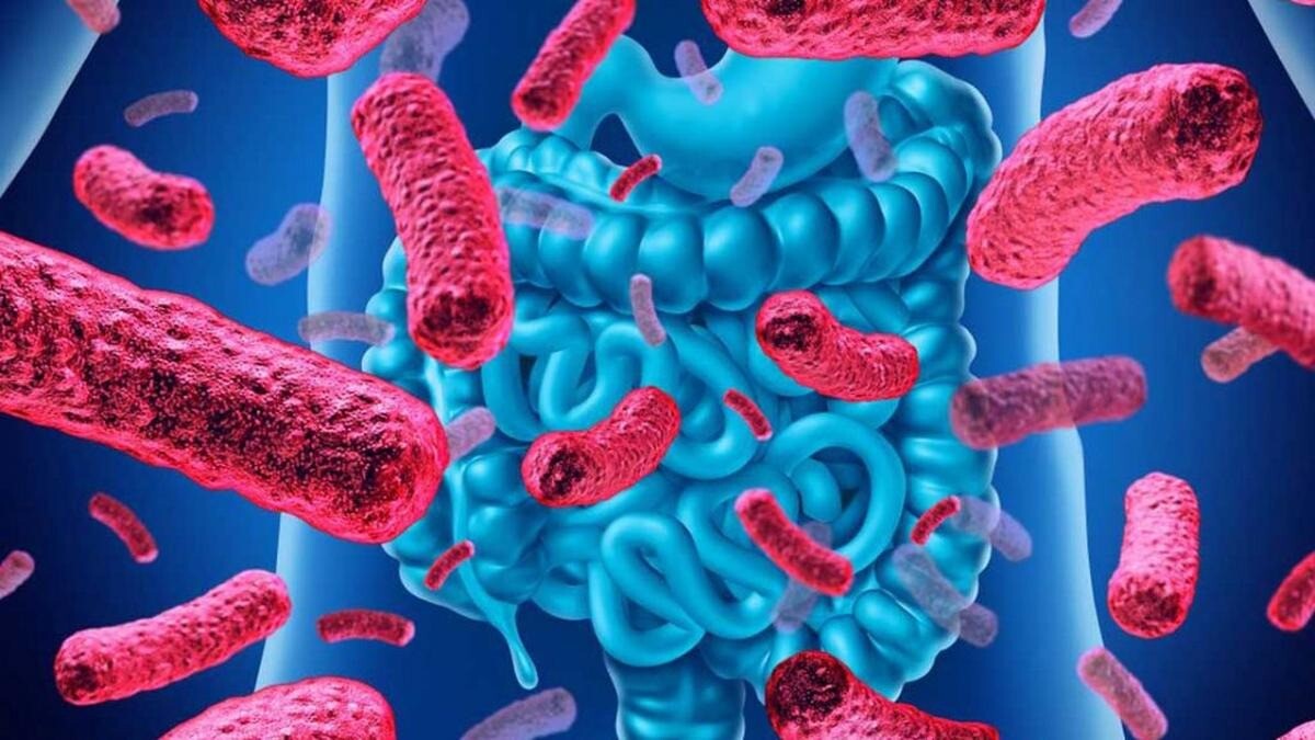 El rol de la microbiota intestinal en las alergias infantiles y su impacto