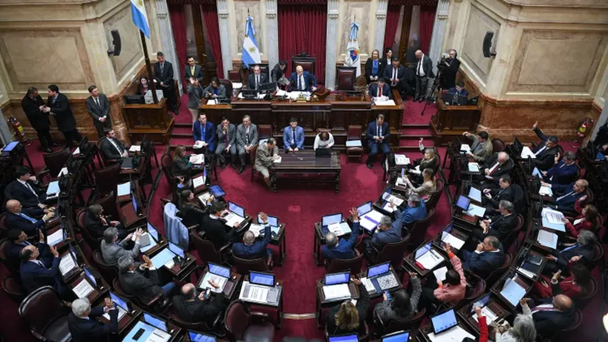 Senado: la oposición dejó sin efecto el veto de Milei y reactivó la ley de emergencia en discapacidad