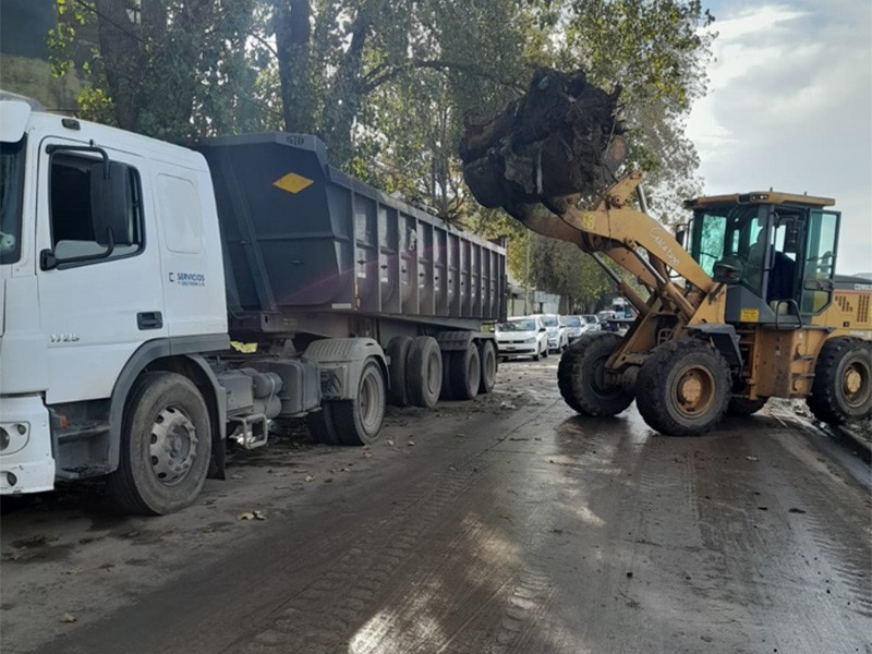 Florencio Varela: Sostenimiento y recolección en espacios públicos
