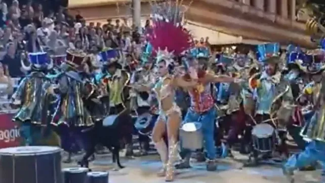 un joven de una comparsa golpeó a un perro que se coló en el desfile