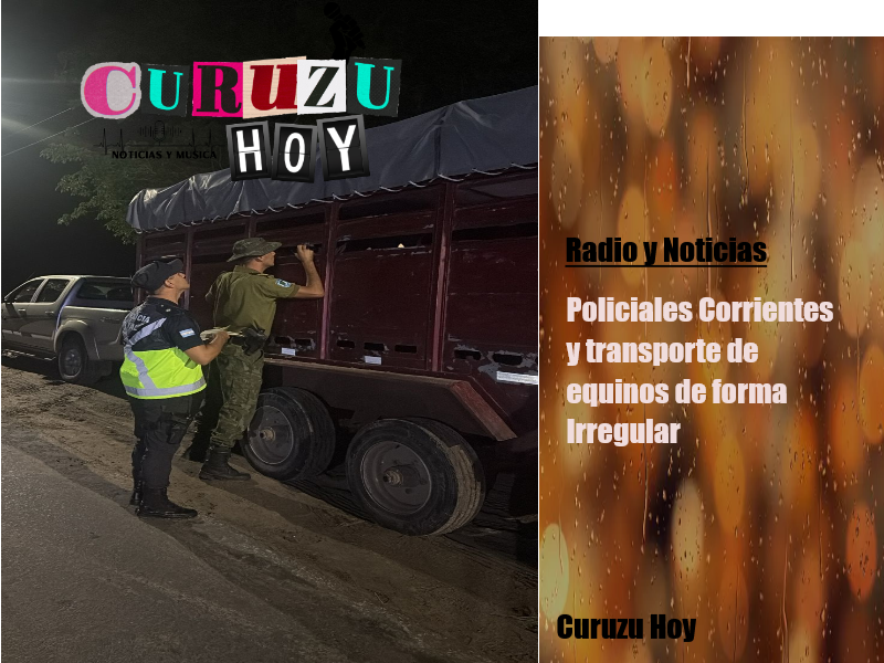 San Luis Del Palmar Policiales, trasporte de equino de manera irregular