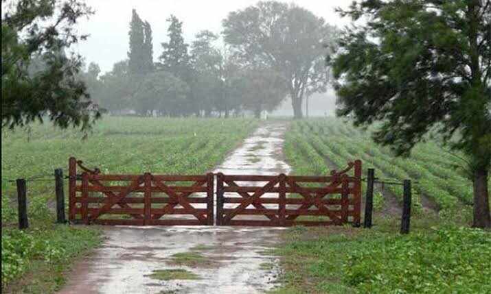 INFO RURAL: ATRASO EN LA SIEMBRA DE SOJA, A RAÍZ DE CONTINUAS LLUVIAS