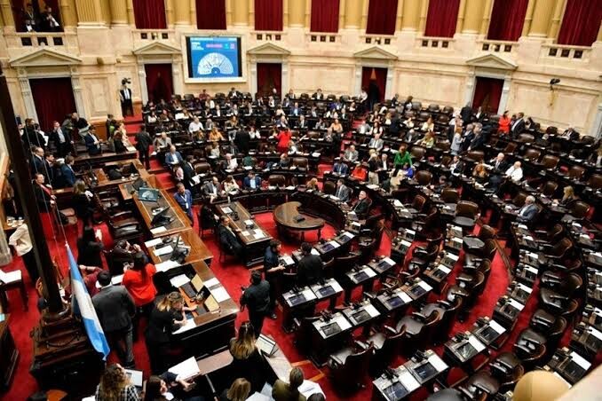 Mora y discapacidad: la oposición pidió formalmente una sesión