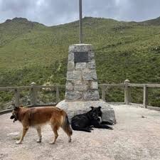 CORDOBA,MATARON A DOS PERRITOS EN EL CAMINO AL DIQUE LOS ALAZANES DE CAPILLA DEL MONTE.