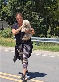 El tierno gesto de Nazarena Vélez: adoptó a un perro abandonado que encontró en una ruta