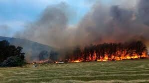Alerta por riesgo extremo de incendios forestales en Tandil para este miércoles y jueves