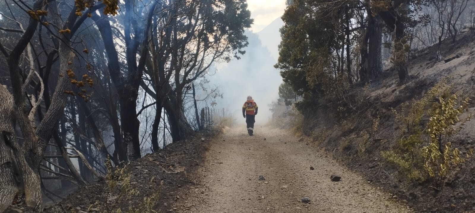 Más de 400 personas participan del operativo para controlar el incendio en la zona de Epuyén