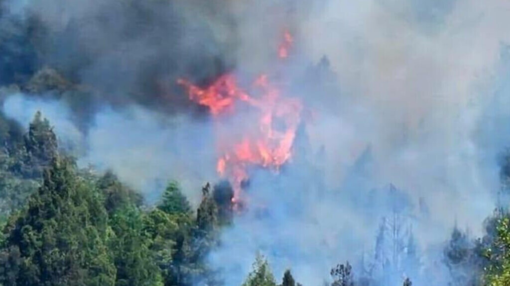 Bariloche: Controlaron el incendio forestal en el cerro Otto