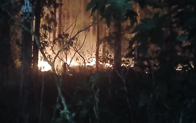 incendio en celulosa.jpg Principio de incendio en el predio de Celulosa S.A.