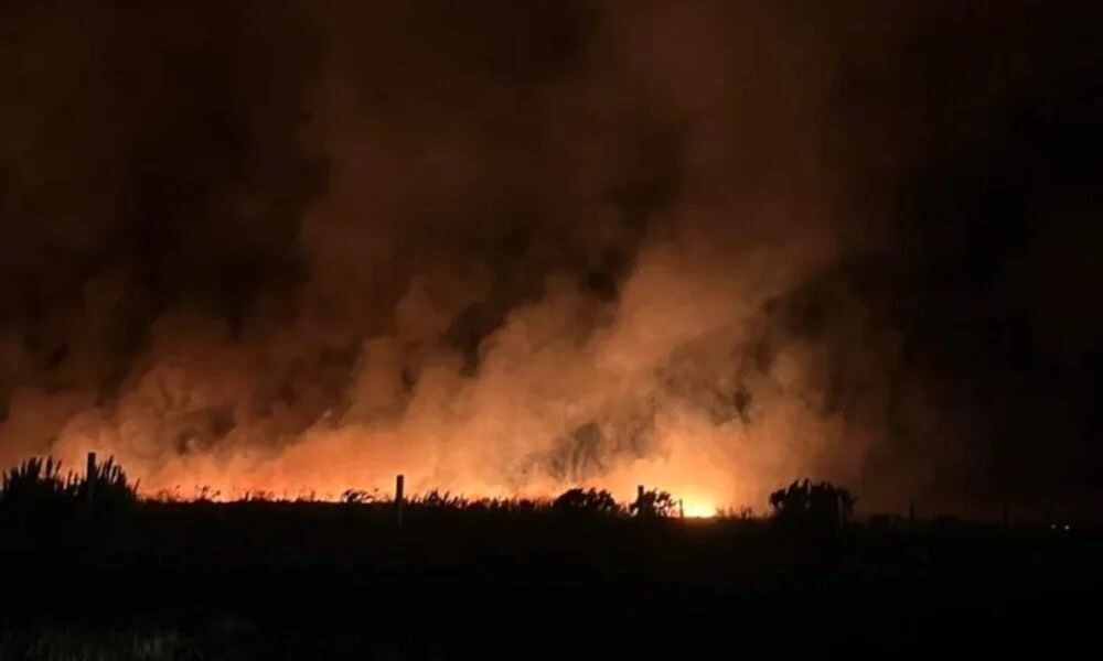incendio en nahuelpan1.jpg