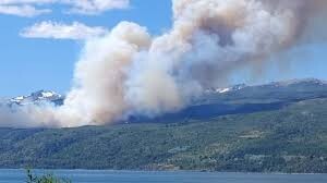 incendio los alerces.jfif