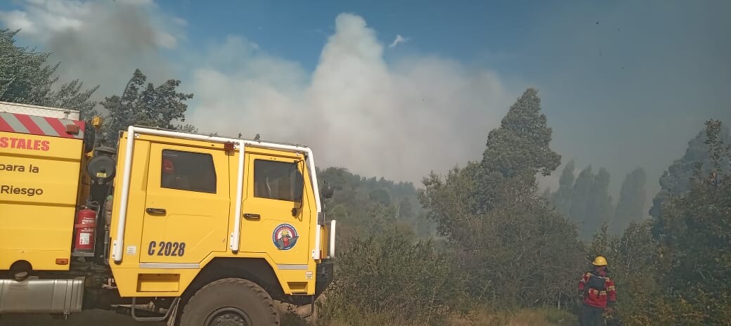 incendio2.jpg Provincia trabaja para controlar un incendio en la zona de Los Cipreses