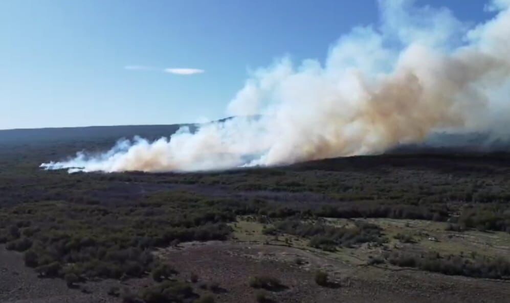 incendio.jpg El Gobierno Provincial trabaja para controlar incendio forestal en la zona de Río Pico