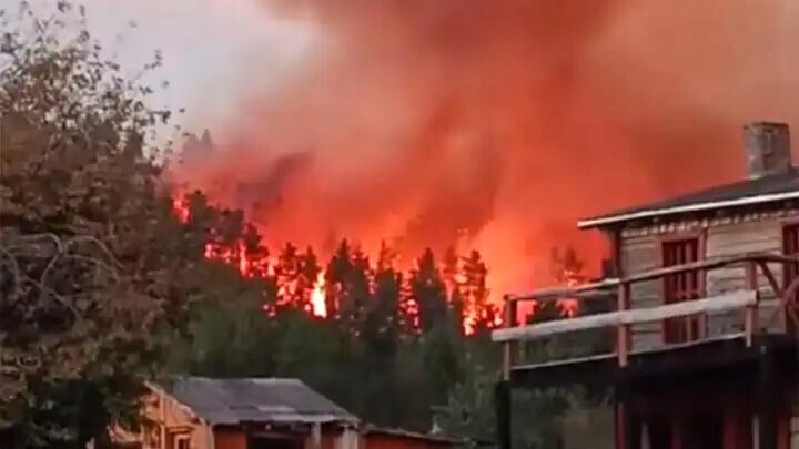 Chubut: El incendio en Puerto Patriada afectó más de 2.000 hectáreas