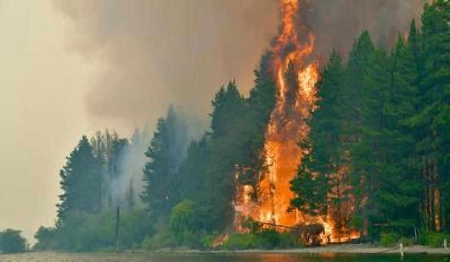 Se reavivan incendios forestales en Chubut por altas temperaturas y viento
