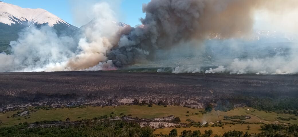 Provincia mantiene importante despliegue para combatir incendios forestales en la cordillera