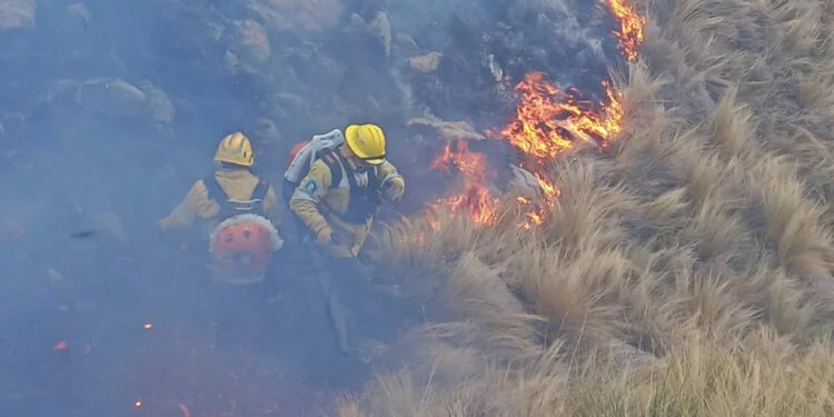 incendios-6-750x375-optimized.webp Alerta extrema. Incendio en el Parque Nacional Quebrada del Condorito: cortaron el Camino de Altas Cumbres