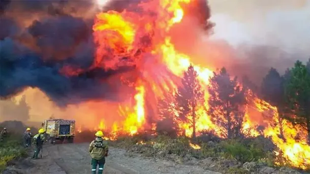 El Gobierno argentino decretó la emergencia ígnea en Chubut, Río Negro, Neuquén y La Pampa ante los incendios forestales que arrasan la Patagonia.