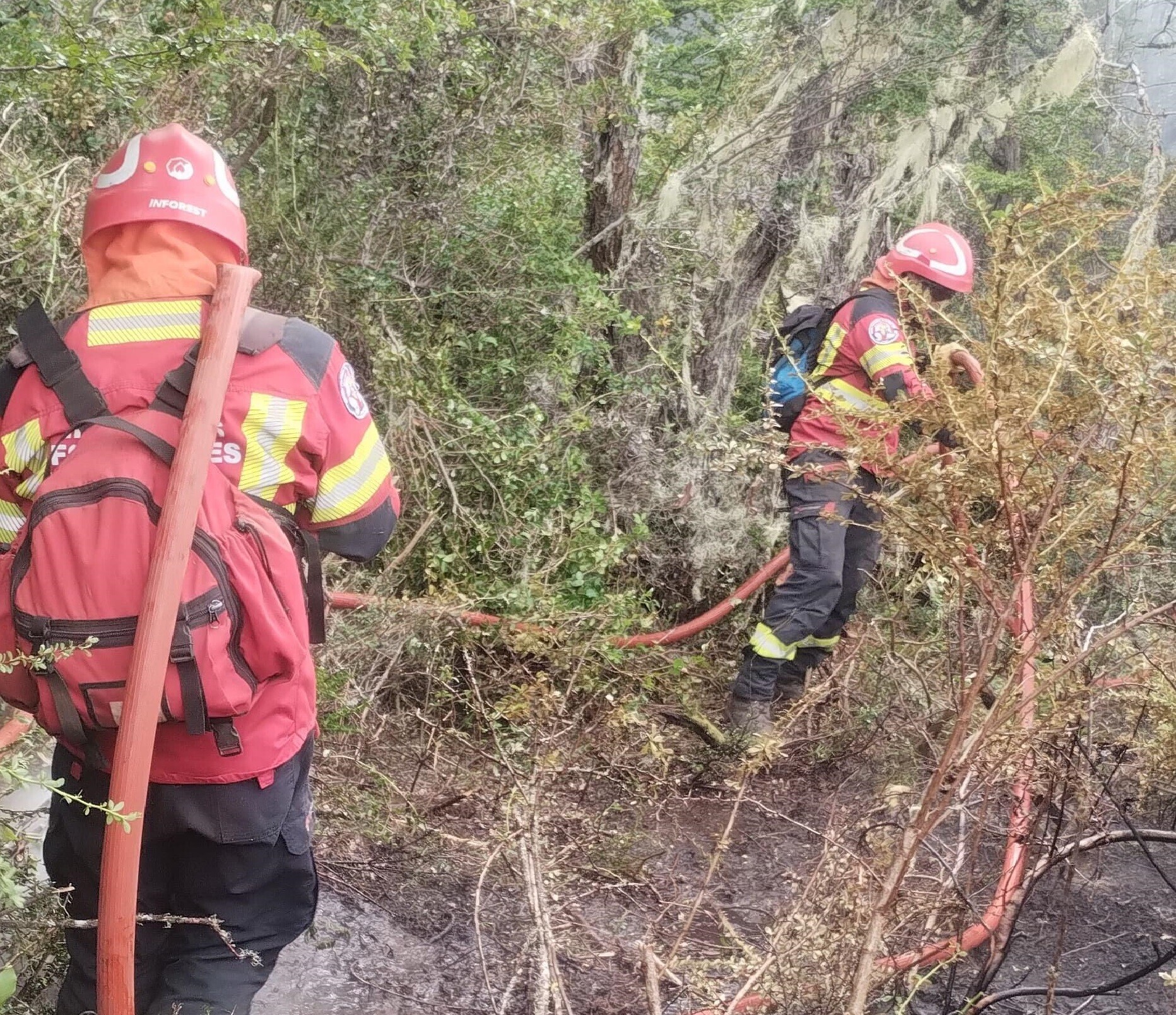 Provincia continúa con un amplio despliegue para controlar los incendios forestales en Epuyén y Atilio Viglione