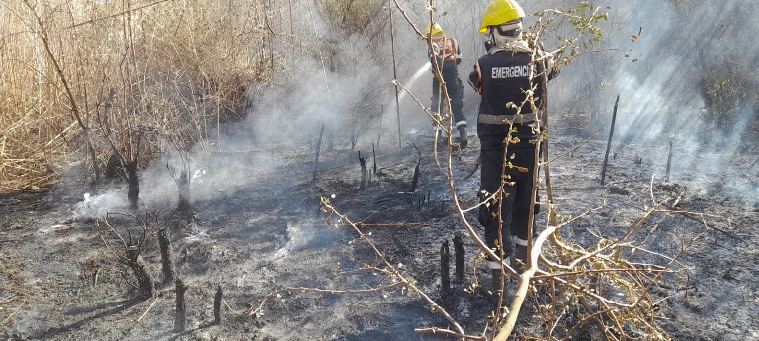 incendiosss-3-1536x691.webp