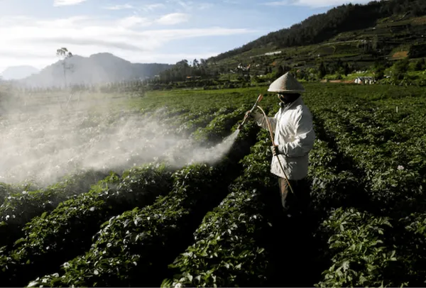 Impactante: el país que quiere invertir US$ 22.000 millones en el agro para crear ocho millones de puestos de trabajo