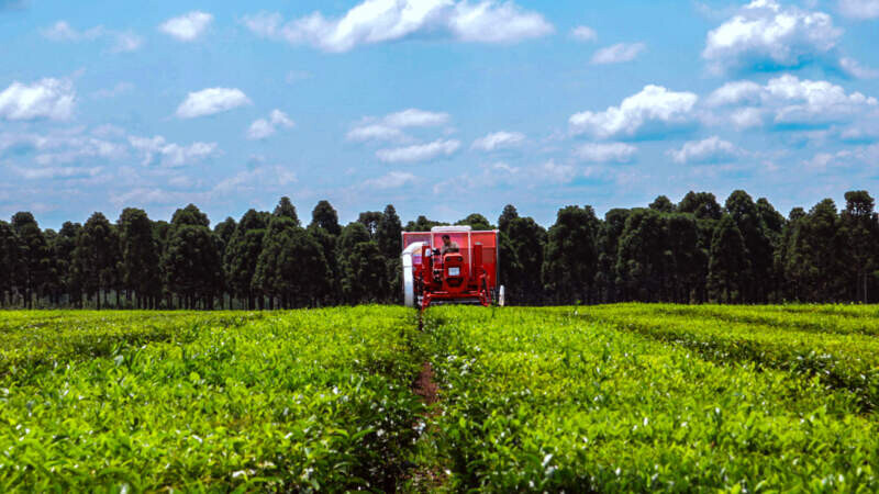 Agro de Misiones destaca que 2025 fue un año de «transformación productiva con impacto ambiental, social y económico»