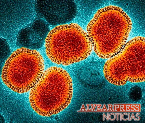 influenza-A-subclado-K-h3n2.jpg