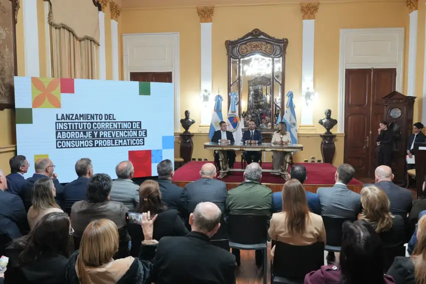 instituto abordaje.webp Corrientes presentó el Instituto de Abordaje y Prevención de Consumos Problemáticos