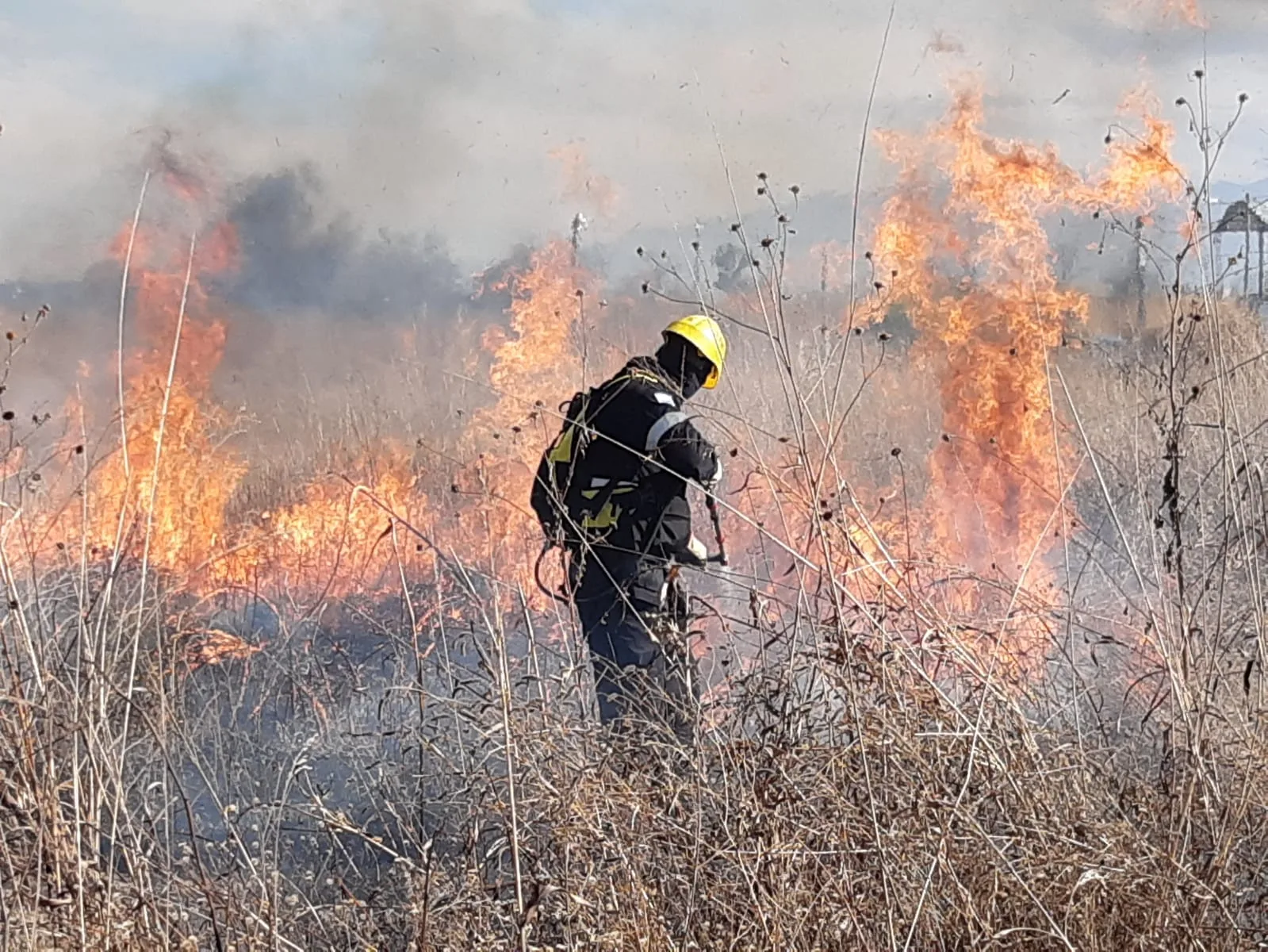 intervencion-incendio-sab-carlos-1-jpg.webp