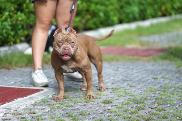 istockphoto-1015400532-612x612