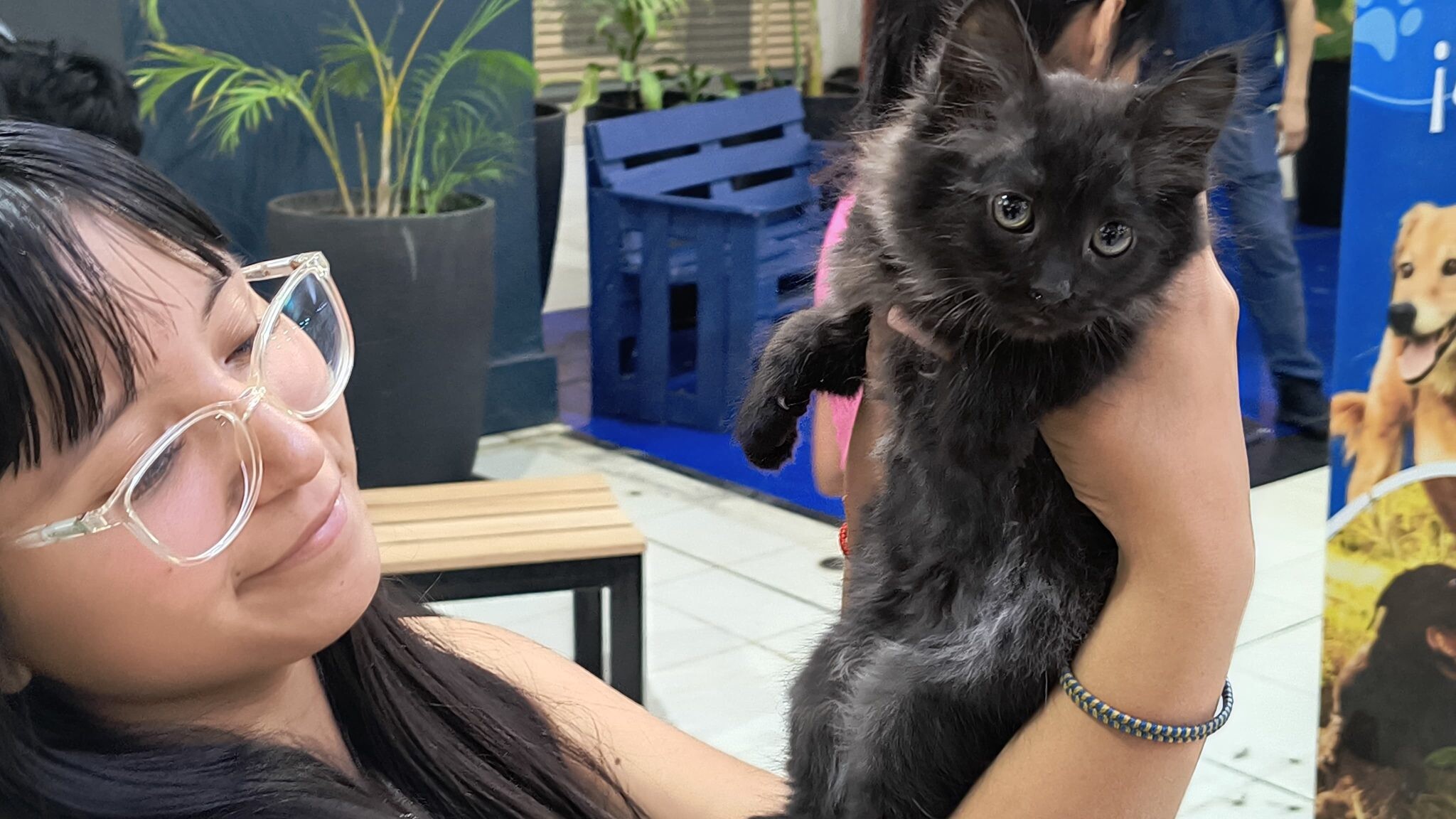 jornada-de-adopcion-alto-noa-4-2048x1152.jpg Seis perritos y dos gatitos fueron dados en adopción en la jornada “Dogfriendly”