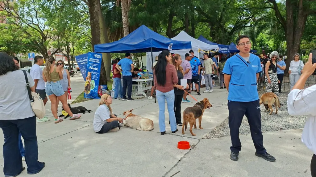 “La Muni Animal” llega a Tres Cerritos con atención veterinaria y servicios gratuitos