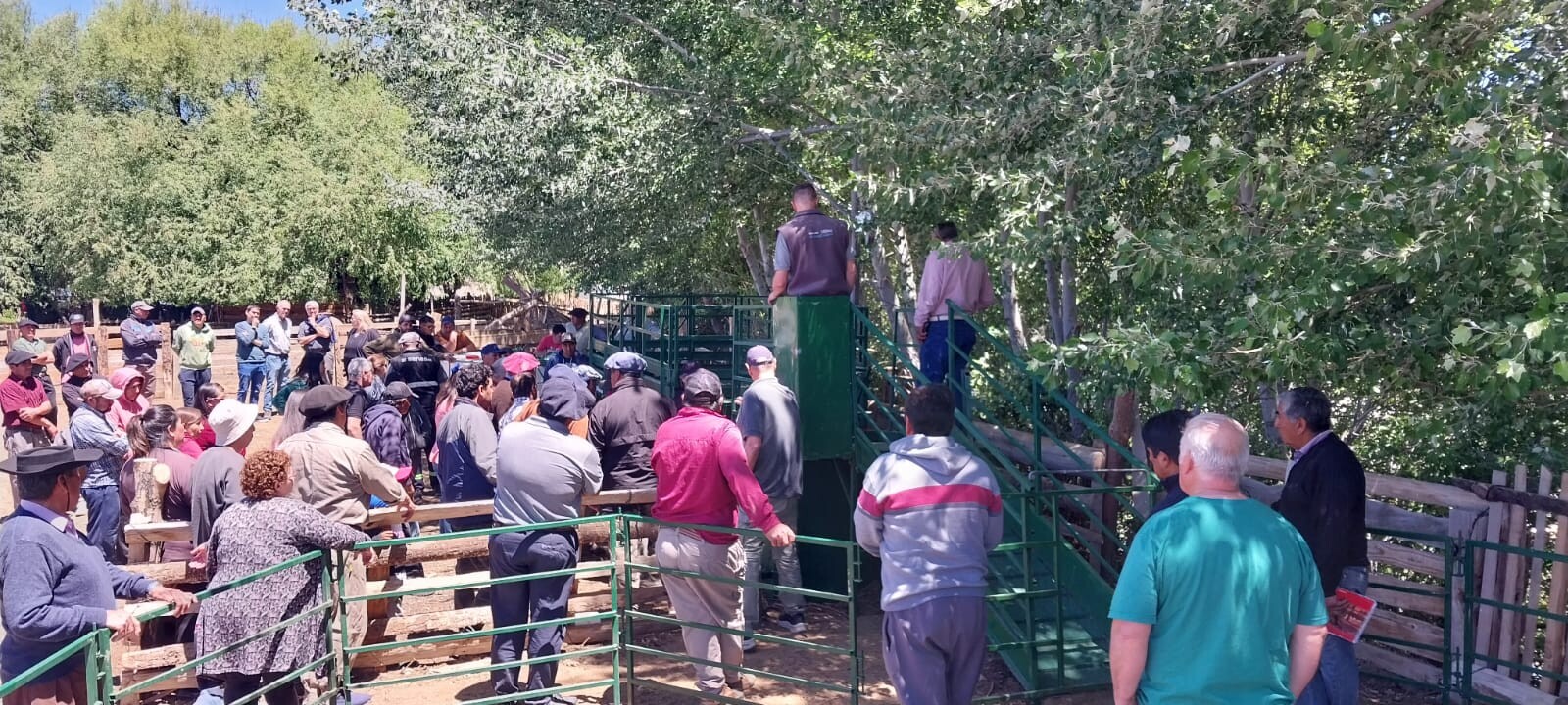 Provincia capacitó a productores en el uso de baños sanitarios portátiles contra la sarna ovina