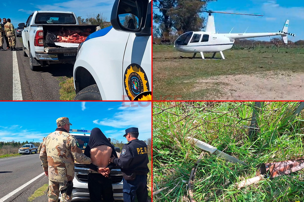 l_1726183279_32705.webp Productor rural detectó robo de vacunos y persiguió al ladrón desde un helicóptero