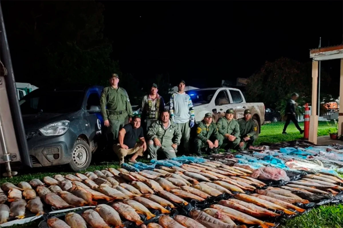 l_1743768102_34608.webp Incautaron 955 kilos de pescados en un operativo en Corrientes