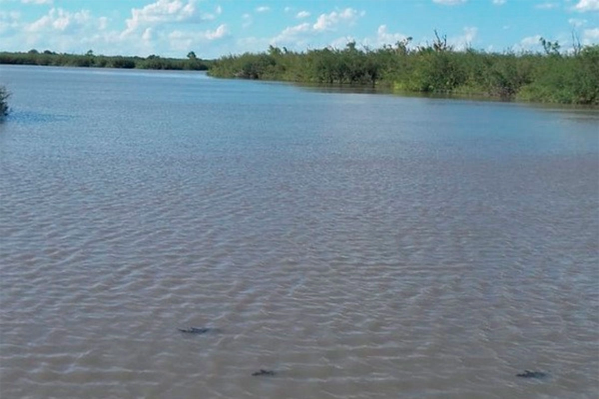 Hallaron el cuerpo del hombre desaparecido en una laguna en Entre Ríos