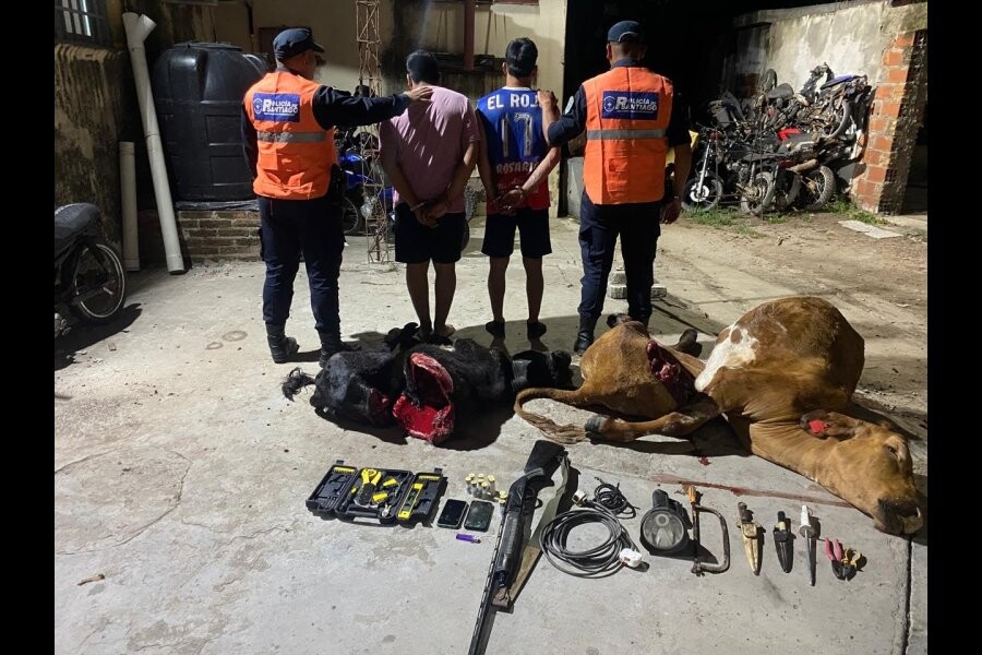 l_1764686577.jpg OPERATIVO POLICIAL TERMINA CON DOS APREHENDIDOS Y ANIMALES FAENADOS