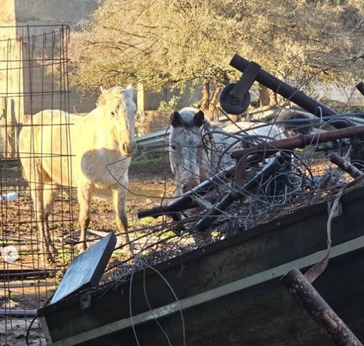la matanza.jpg la matanza.jpg