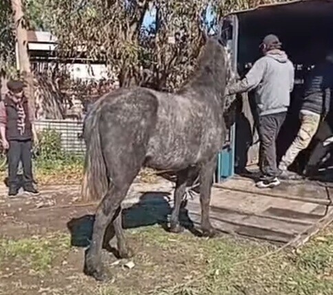 la matanza5.jpg la matanza5.jpg
