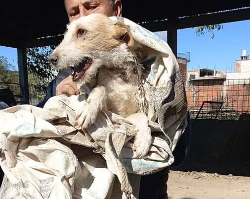 la matanza7.jpg la matanza7.jpg