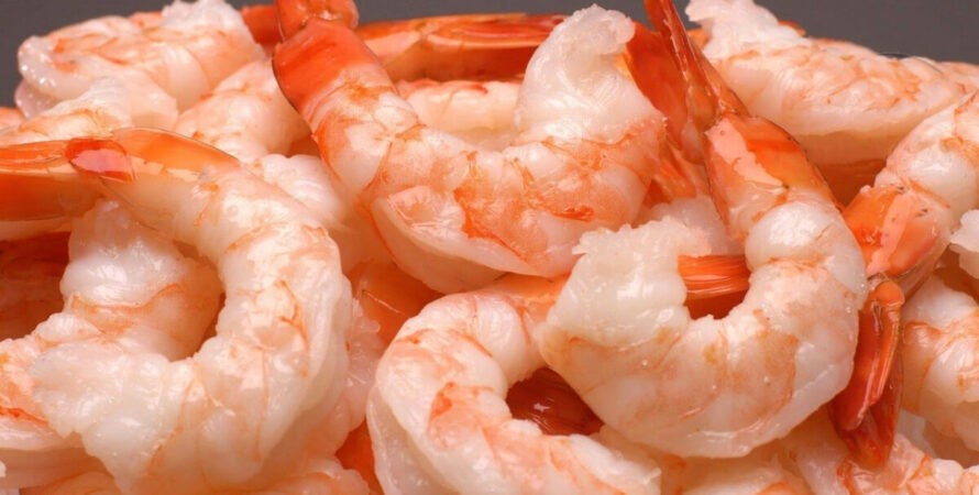 Chubut fortalece la formación técnica para sostener la certificación MSC del langostino