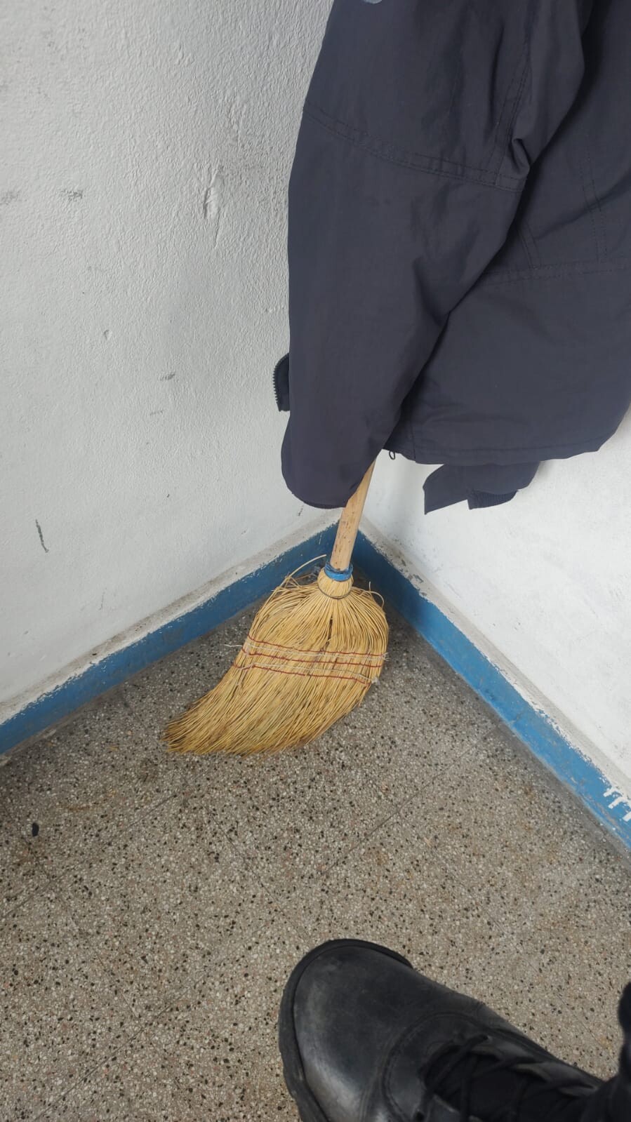 lasflores9_18dic25.jfif lasflores9_18dic25.jfif