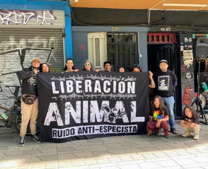Liberación Animal banda punk antiespecista de Medellín en concierto